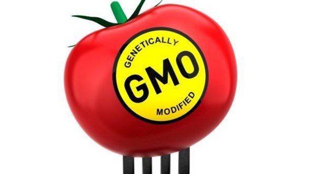 Monsanto adalah raksasa perusahaan agrikultur dengan teknologi genetic engineering. Pro dan kontra atas perusahaan ini telah lama disuarakan hingga sekarang.