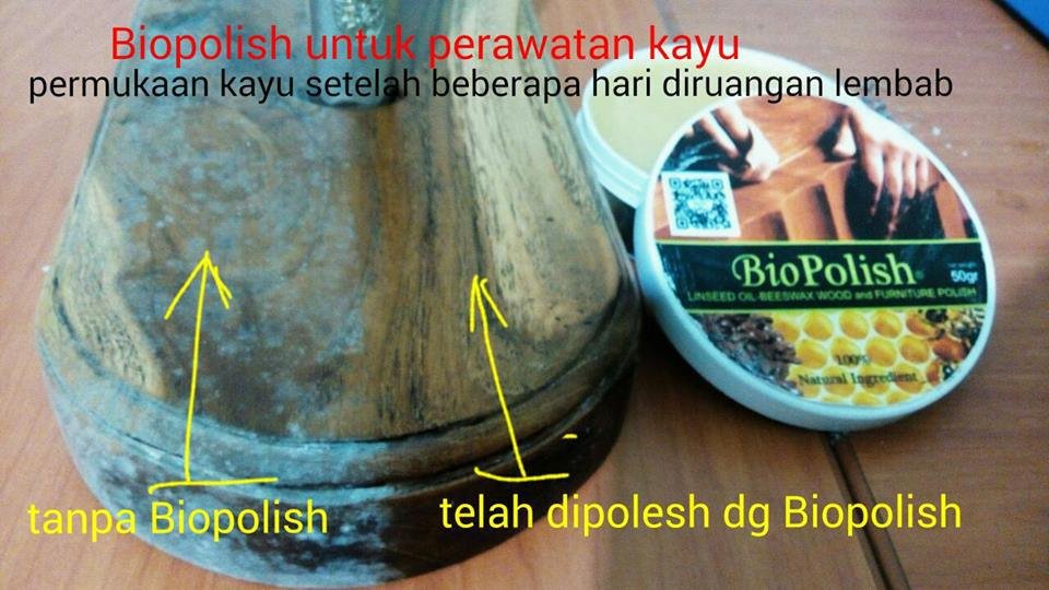 Biopolish terbukti efektif mencegah jamur tumbuh di furniture.