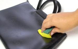 Cara Menghilangkan Jamur Di Tas Kulit Praktis 10 Menit Selesai Biopolish
