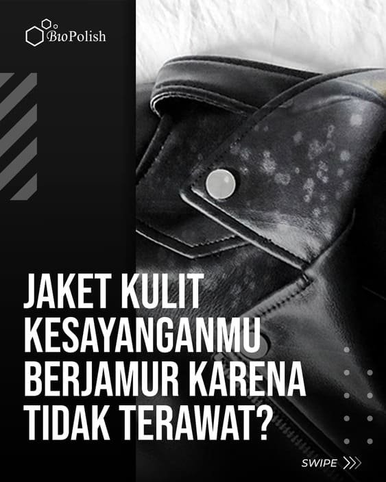 jaket kulit berjamur